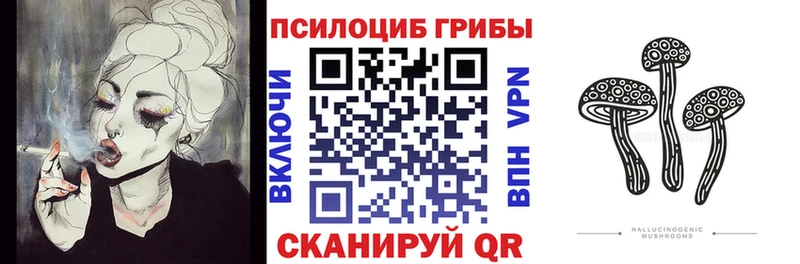 магазин продажи наркотиков  blacksprut ССЫЛКА  Псилоцибиновые грибы мухоморы  Петров Вал 